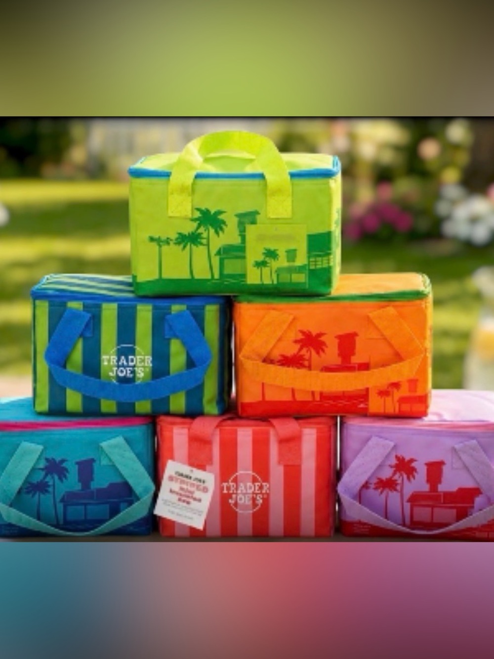 Trader Joe's Striped insulated bag 2026 *SOLD OUT COLORS